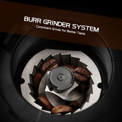 Petit Burr Coffee Grinder Adjustable conique 19 fabricants de café commerciaux de établissement d'expresso